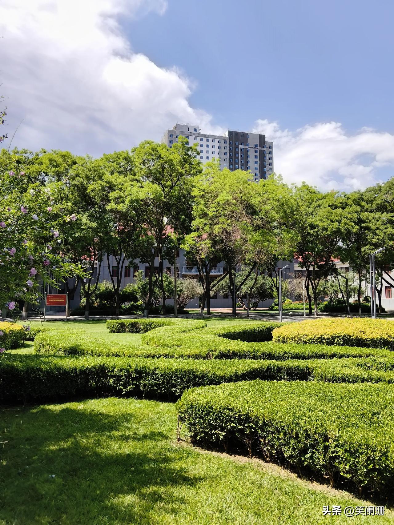 好久都没有去过兰州城市学院了，趁着周末有空去兰州城市学院校本部转了一圈，发现这里