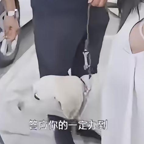 基地人员接走芬迪时，居然对虐狗女说“答应你的一定办到”，这话听得人后背发凉！
 