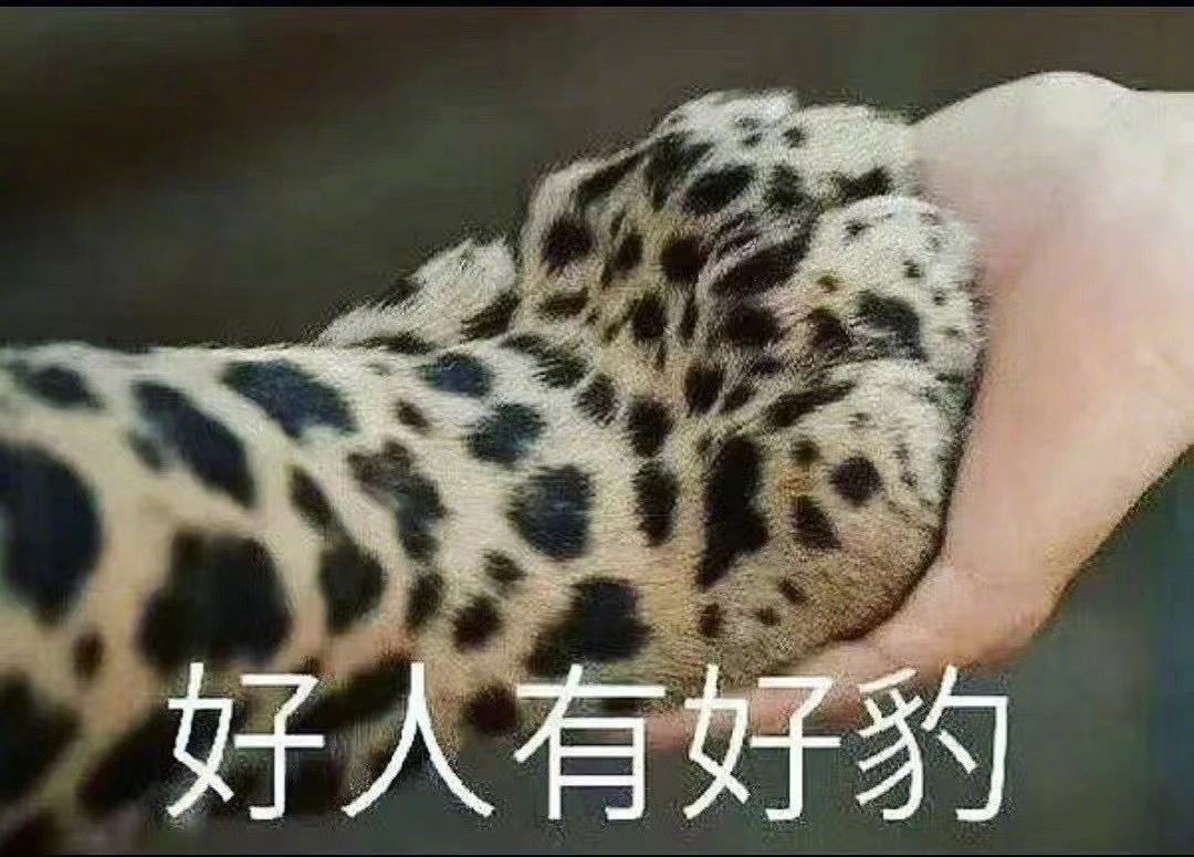 #美国女篮vs法国女篮# 来了哈筒子们！！ ​​​