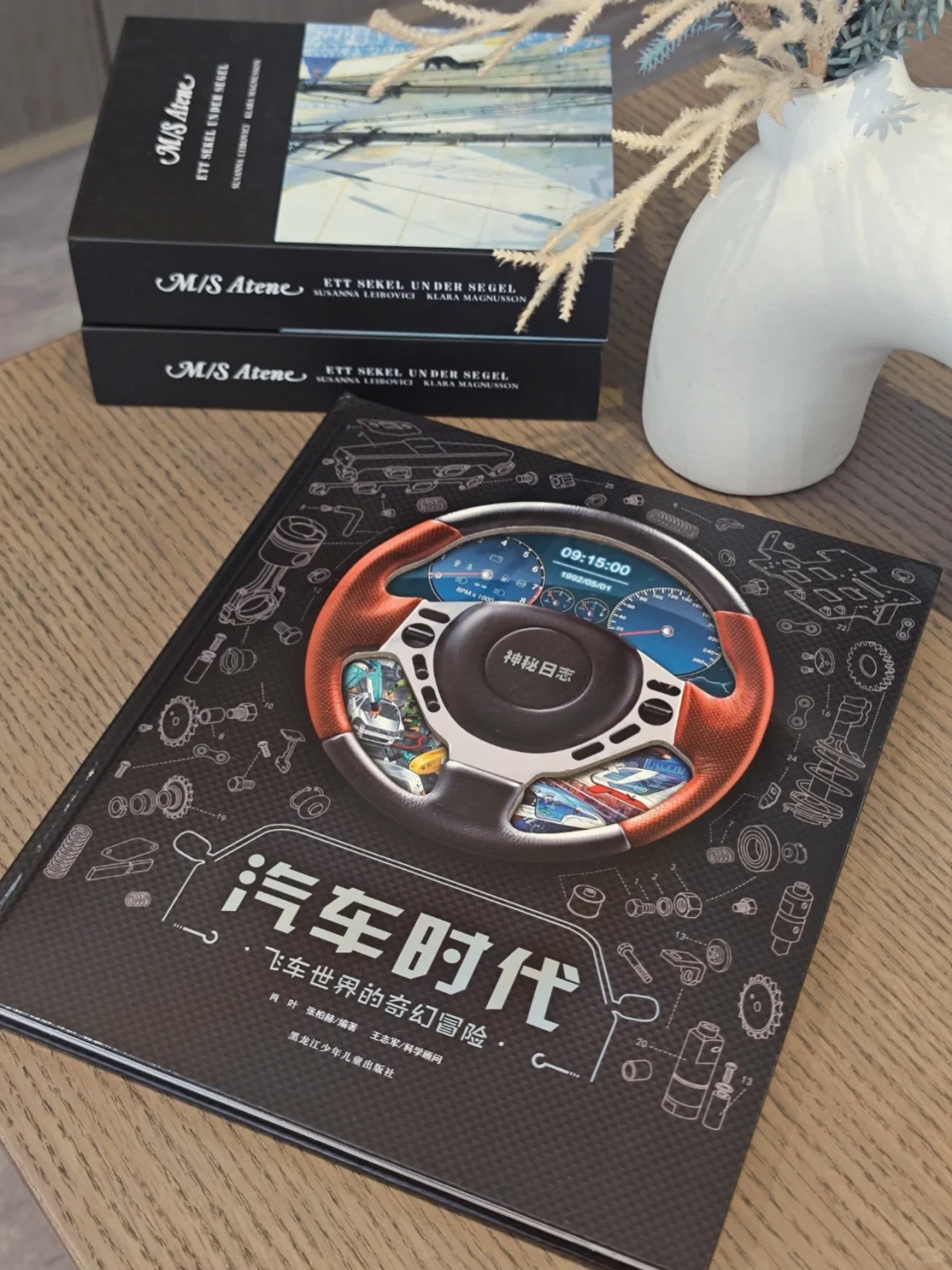 请大数据把这本书推给所有喜欢车的男孩～