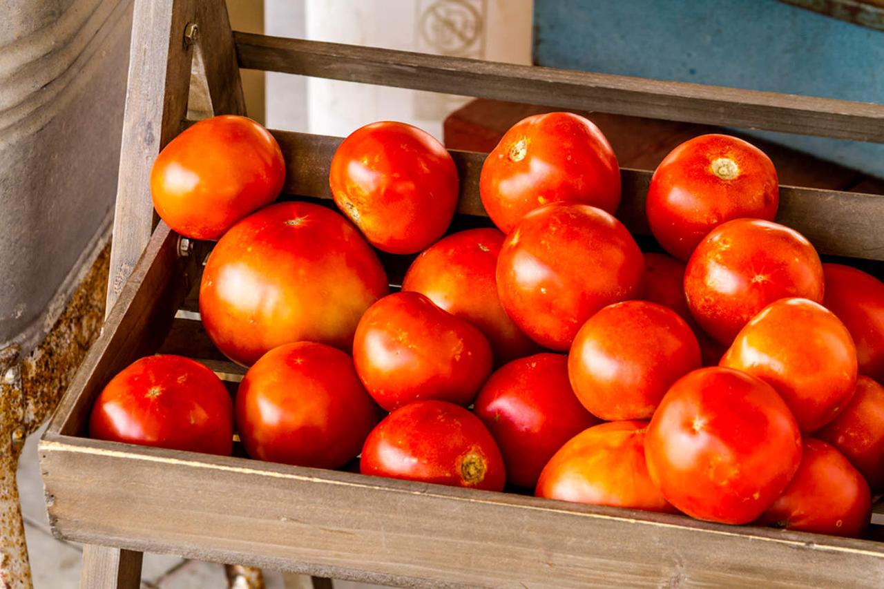 63岁大妈，每天饭前吃一颗西红柿，7个月后，身体的变化让人羡慕

血压高、血脂偏