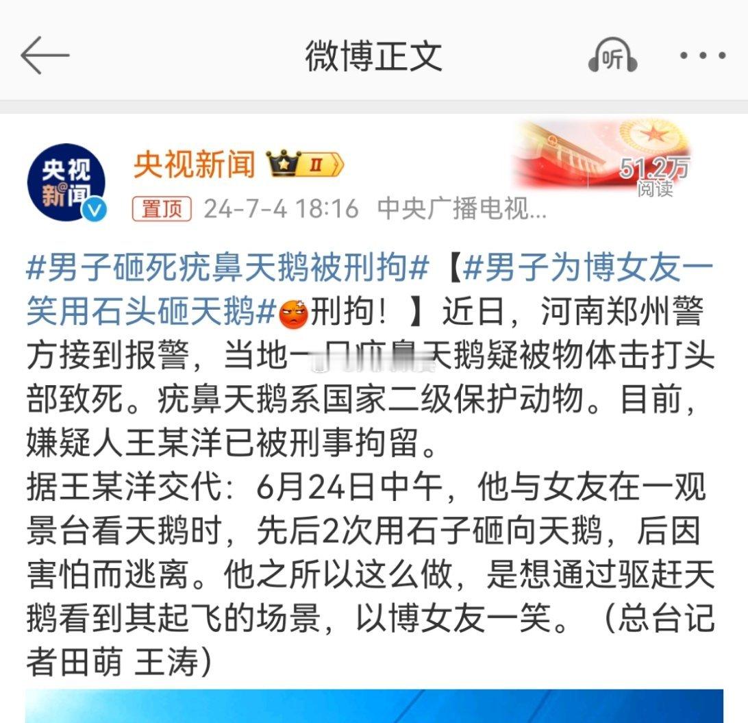 #男子为博女友一笑用石头砸天鹅#他之所以这么做，是想通过驱赶天鹅看到其起飞的场景