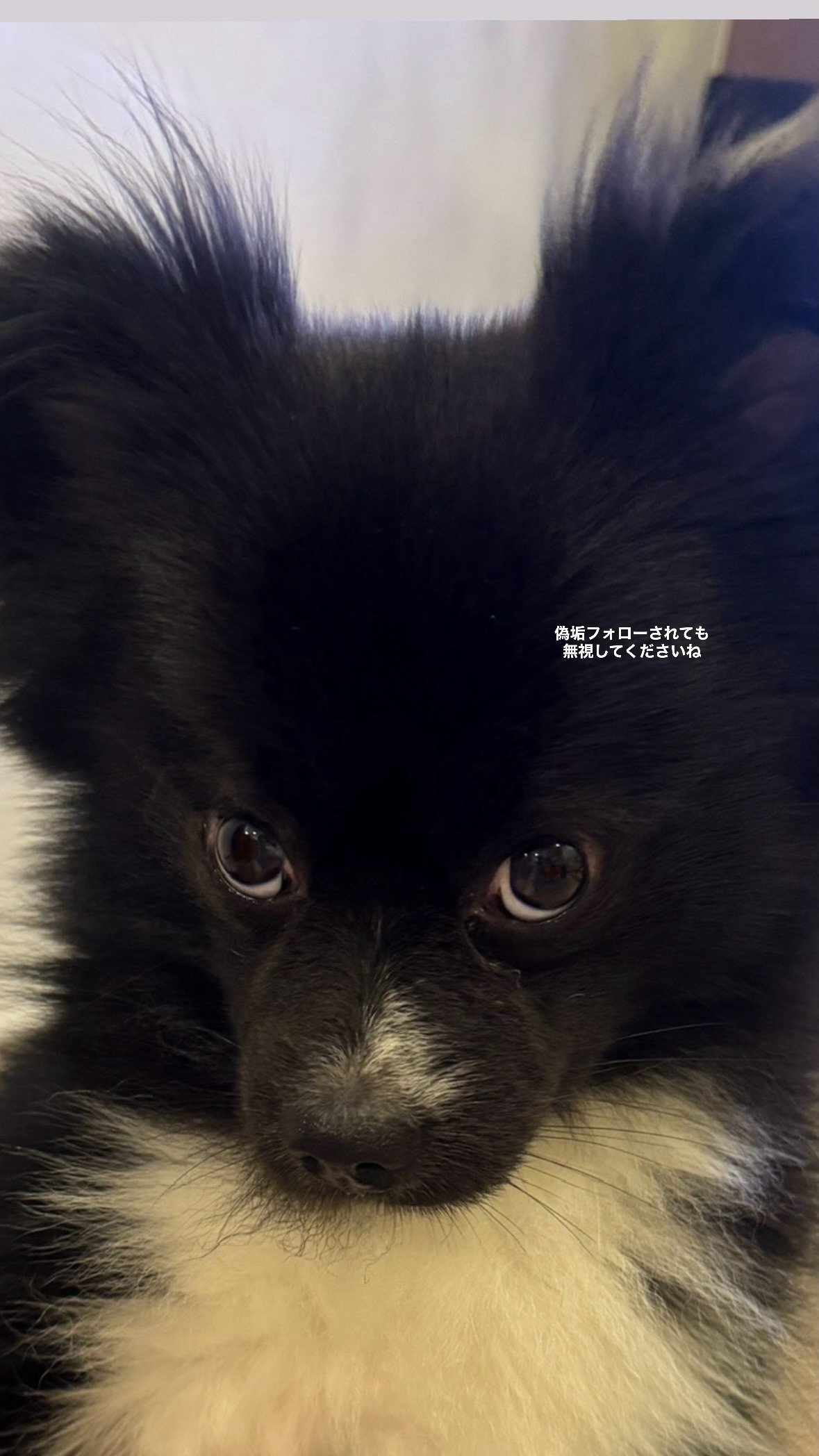 山口大地（ins 快拍 