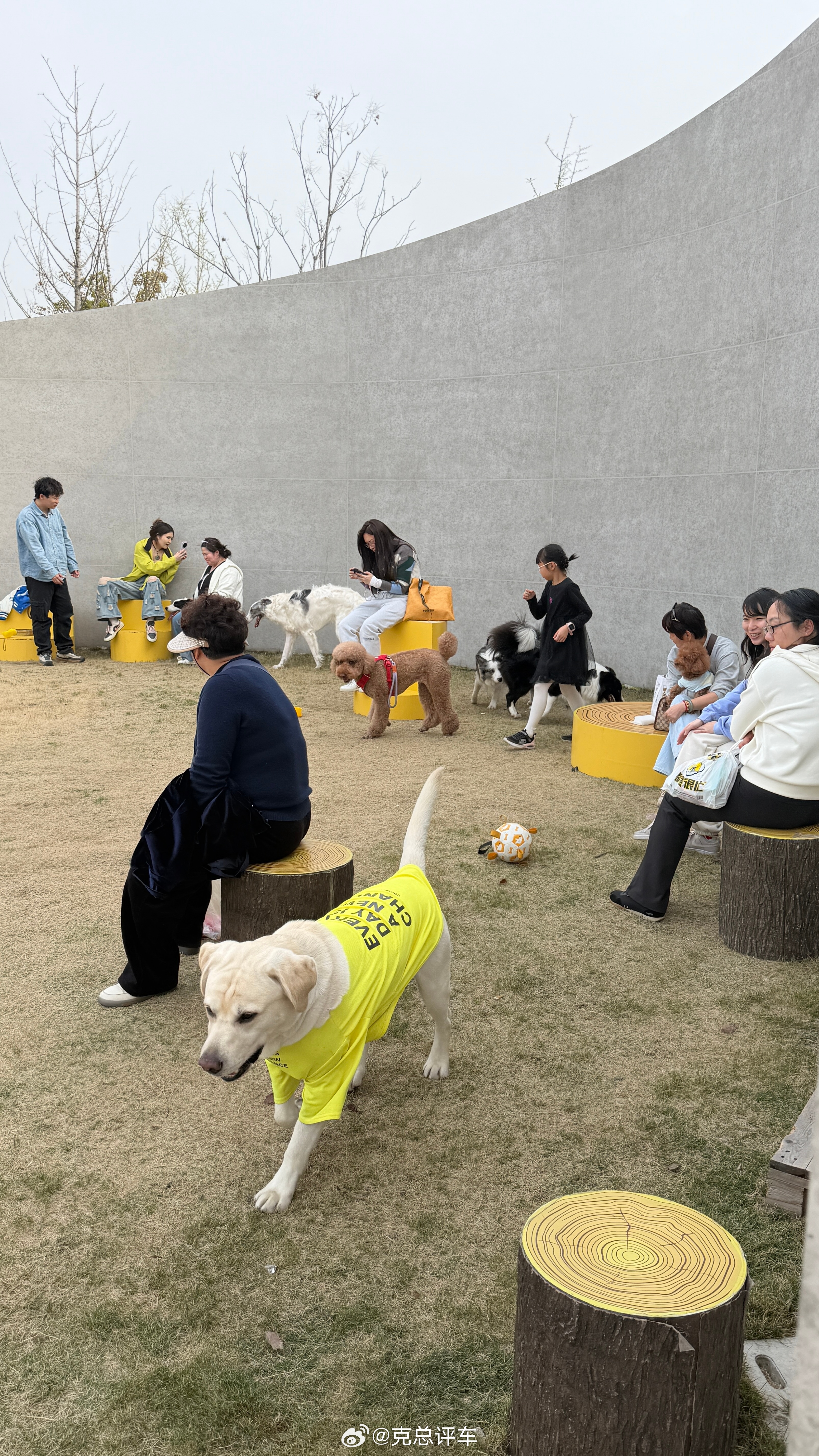 沪太路的朗香公园是一个专属的动物公园。狗狗乐园，这里狗狗社交相亲角。我遛娃，别人