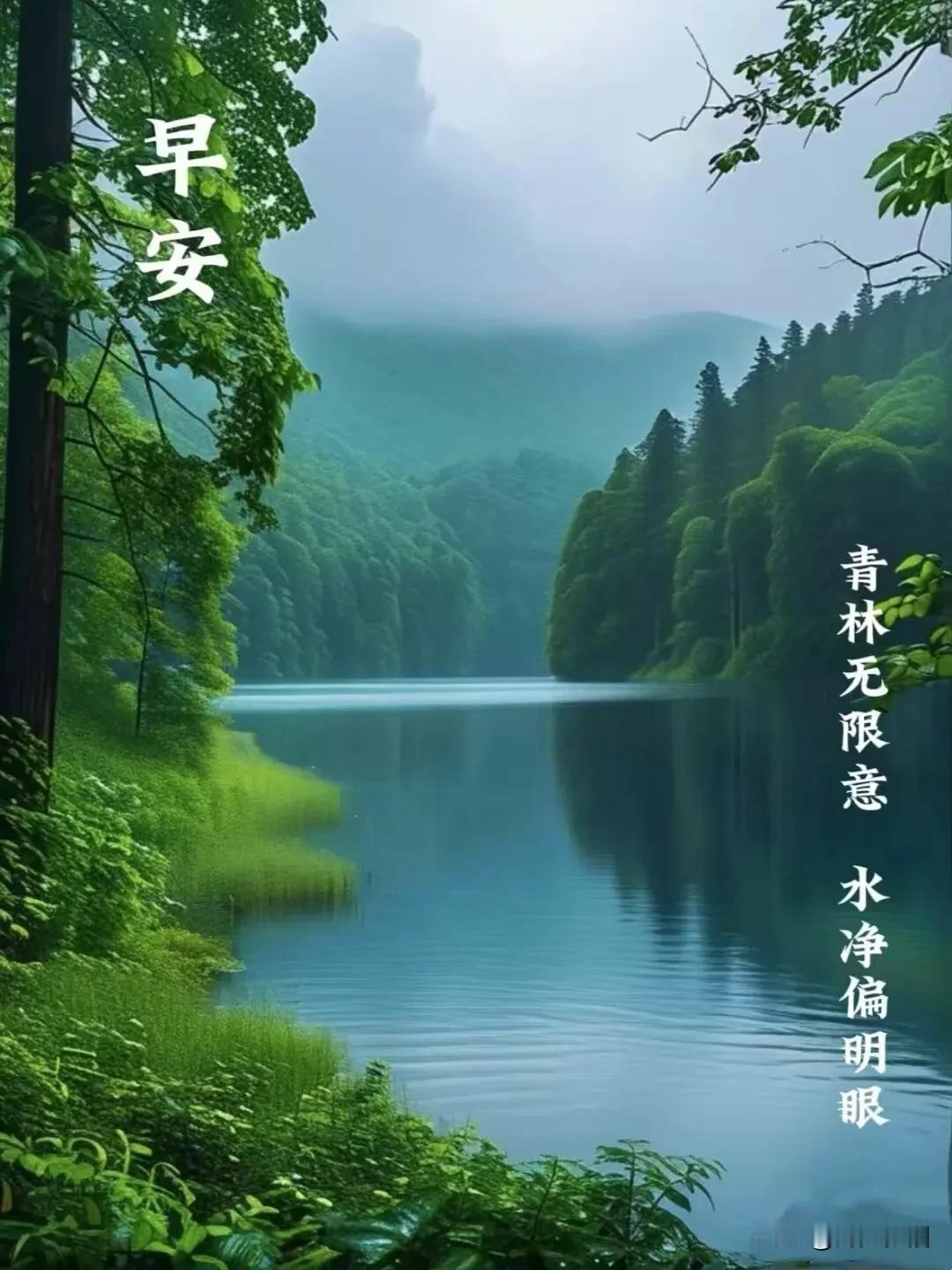 七律《微信寄怀》

方寸微屏众共爱，
胜如信鸽迅飞哉。
殷勤问候随风递，
诚挚佳