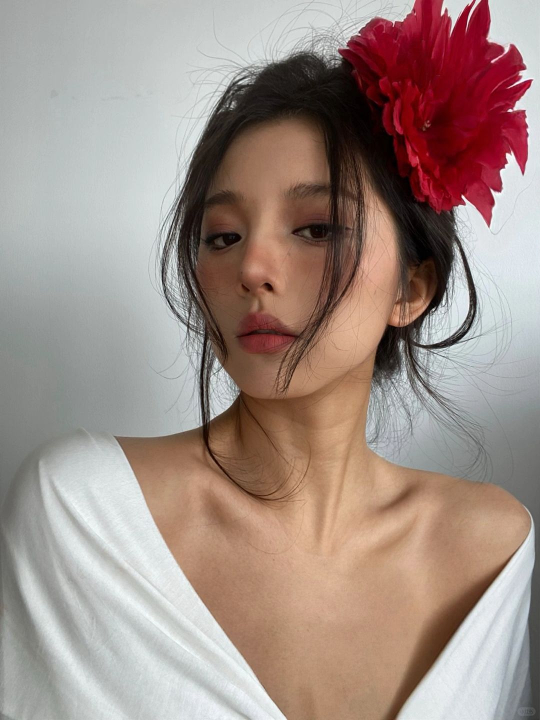 多多关照