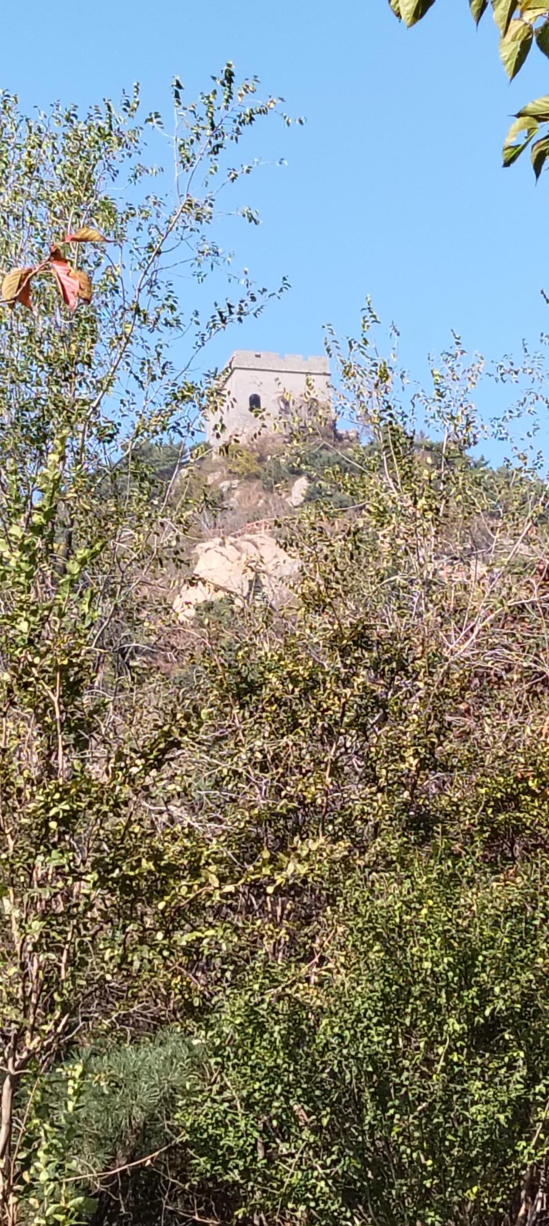 今天上午去爬山，爬的是海拔390米的奇山烽火台。
坐公交车在奇山路站点下车，沿着