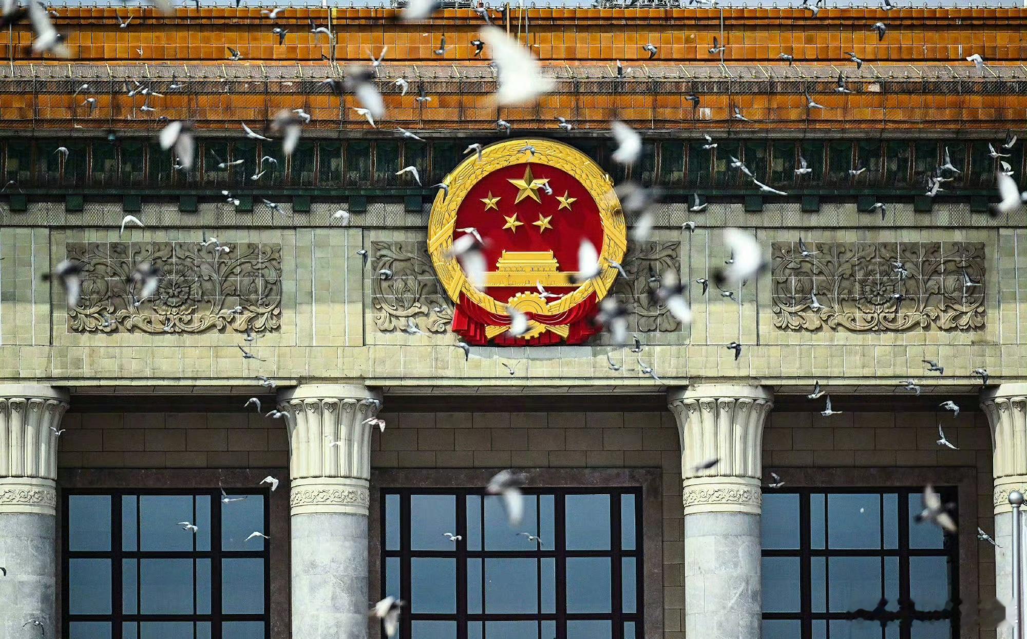 和平鸽工资15元第一次知道鸽子还有工资呢，哈哈😃，连鸽子都为我们为伟大的祖国争