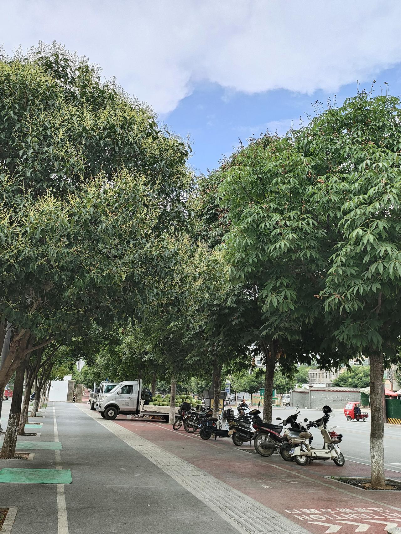 人最清醒的活法：降低期待，强大自己
 
活到一定岁数才算真正想明白，人这一生所有