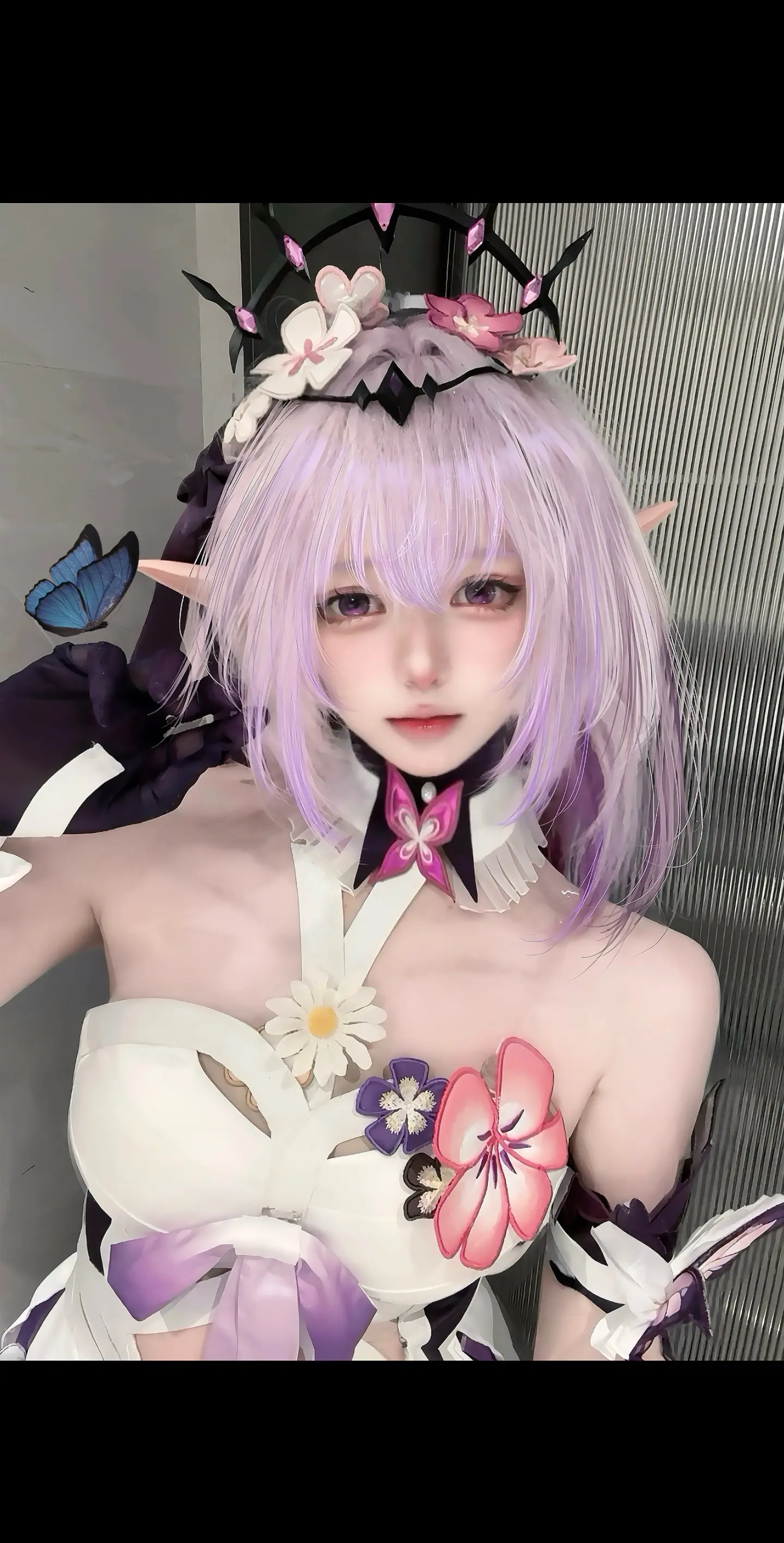 🦋。