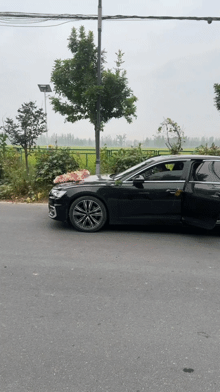 新郎在去新娘家接亲的路上突然拉肚子憋不住了！
无奈之下，接亲车队只能被迫停在路上