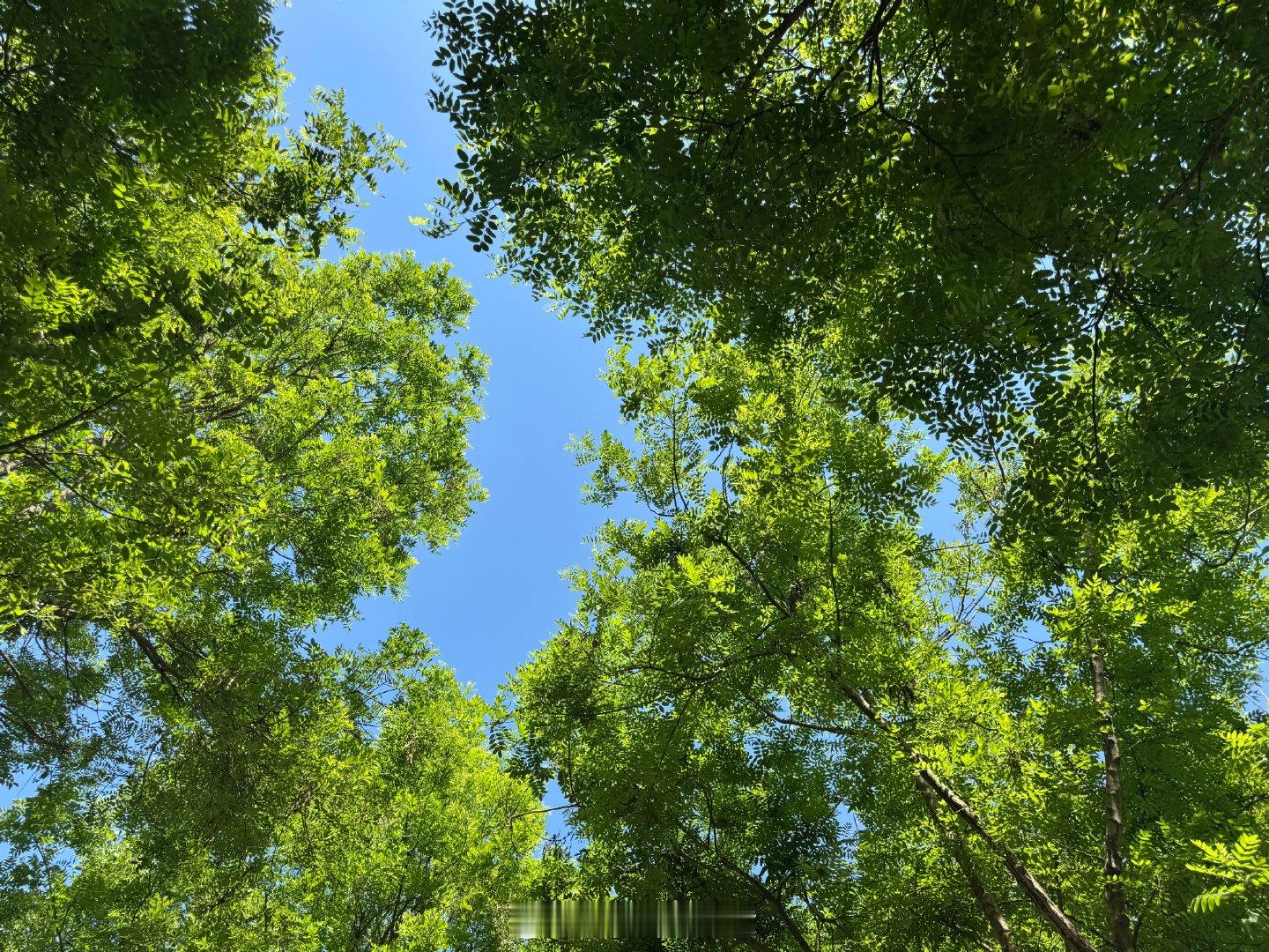 不必追赶别人的脚步，每个人都有自己的时区。允许自己慢一点、普通一点，接纳所有不完