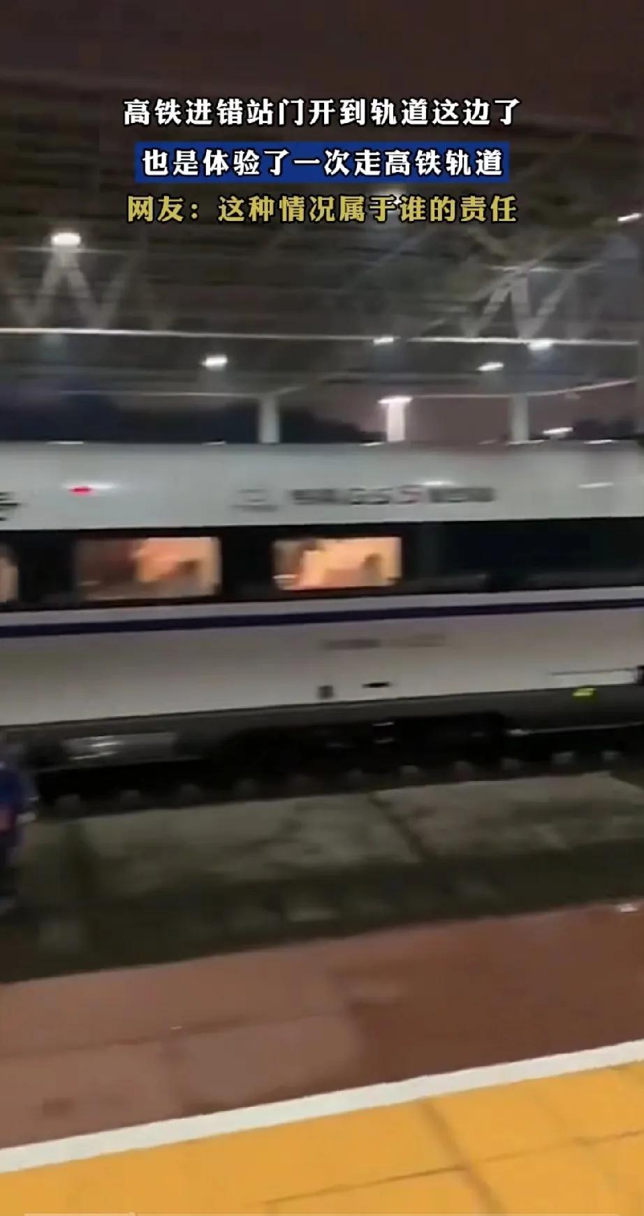 高铁进站走错轨道，乘客爬梯子下高铁，翻越轨道爬上站台。
