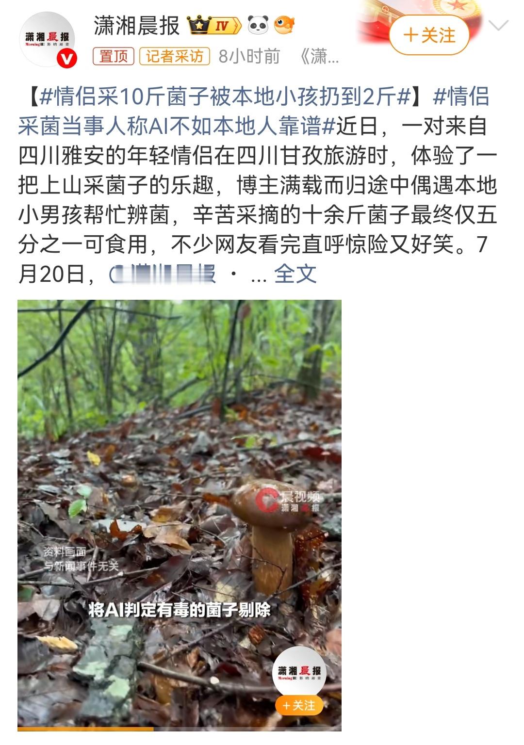 情侣采10斤菌子后被小孩扔到只剩2斤，这种东西还是得好好请有经验的人看，ai辨识