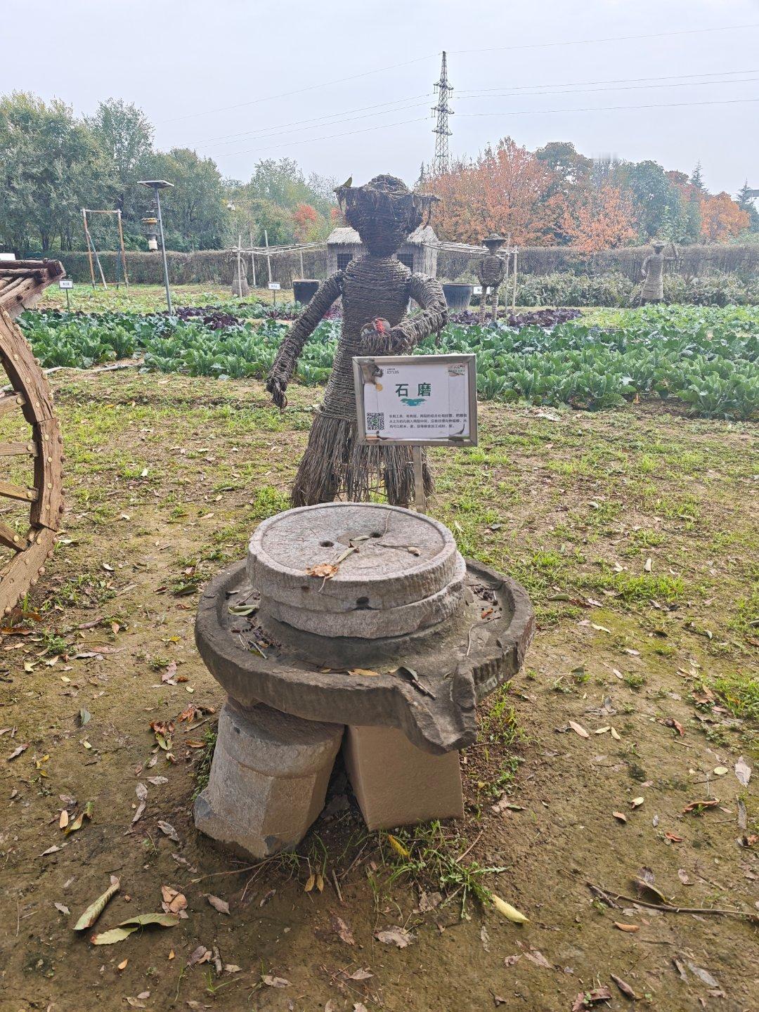 等到机器人普及的那天，手机作为生产力工具会变得很便宜，就像农民的锄头和镰刀一样便