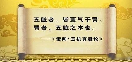 有胃气则生，无胃气则死，是什么意思？中医说的“胃气”，其实就是脾胃功能的总称；而