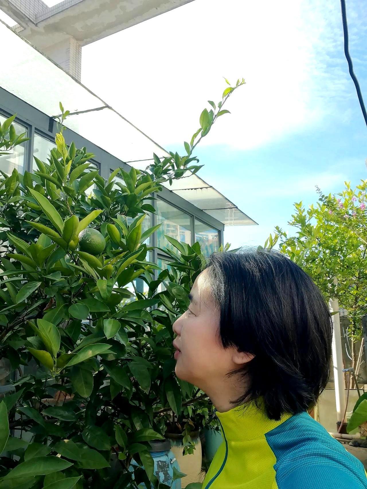 47岁，人到中年，你敢信为了套破农村老屋，亲姐弟能闹到老死不相往来的地步？
早上