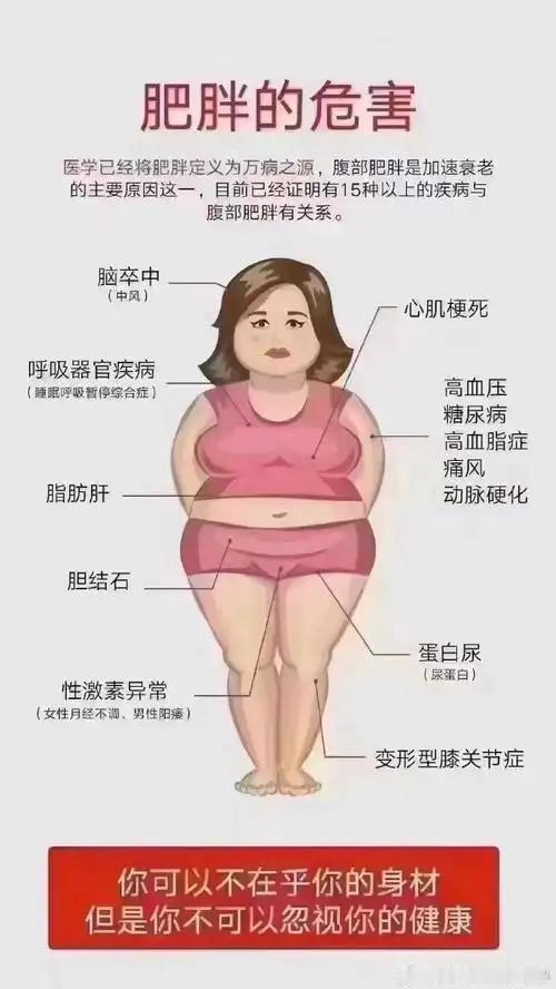 肥胖的五大危害
       肥胖的危害可不少，随便列五大就够让人头疼。
   