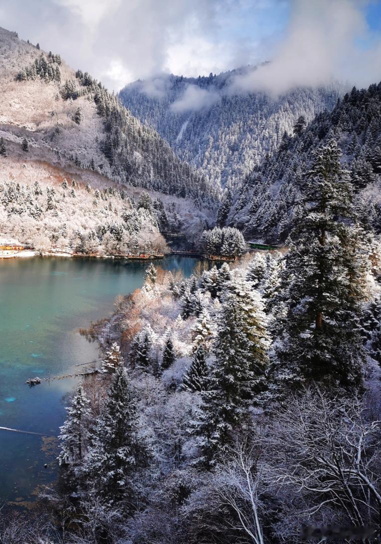 进入九寨沟，仿佛误入了梦幻之境。雪花纷纷扬扬地洒落，似点点繁星奔赴人间，又像灵动