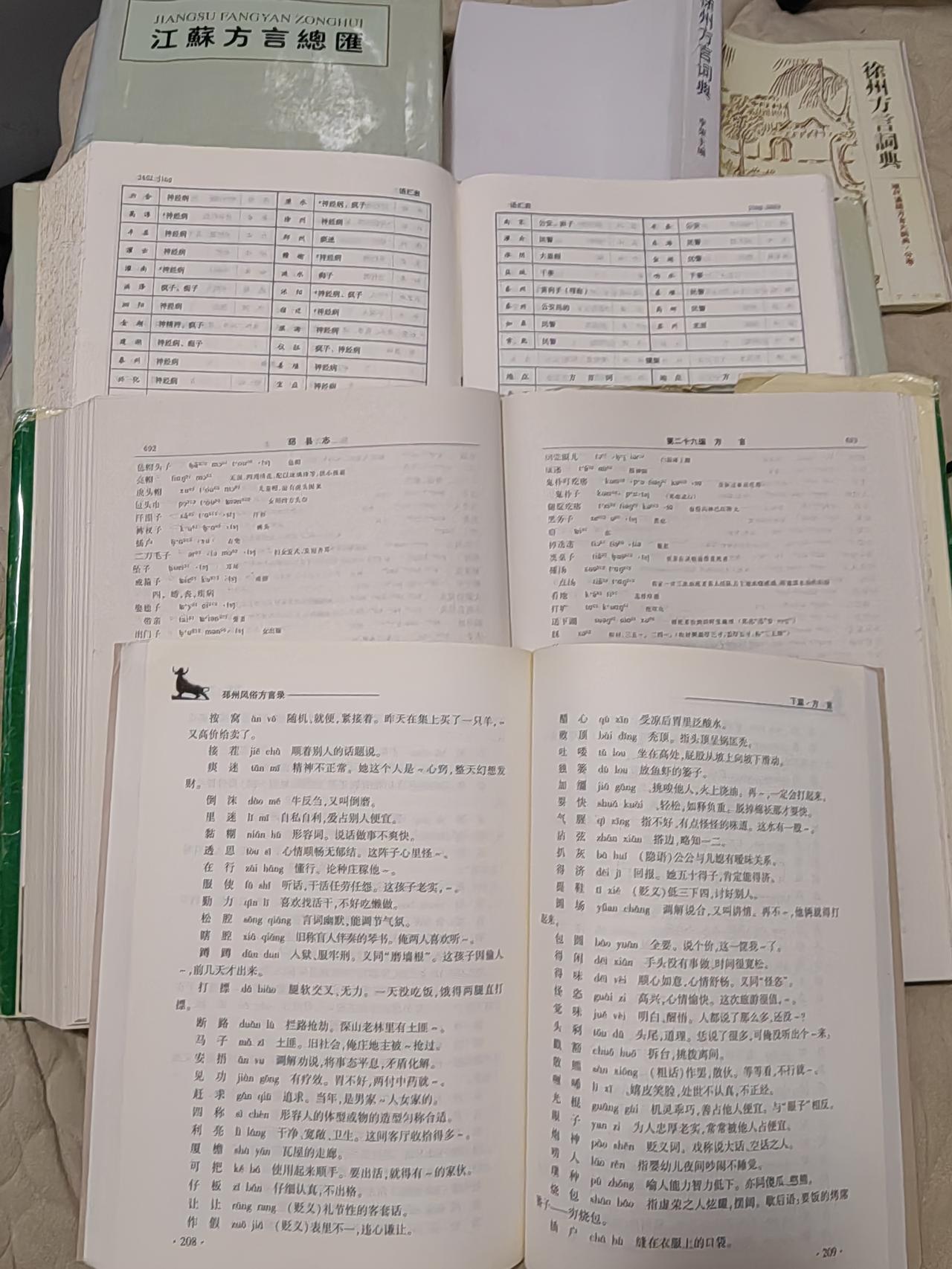 【探底方言】最近着迷邳州方言，发现以前认知太浅，深度研究的少，更不用大范围比较研