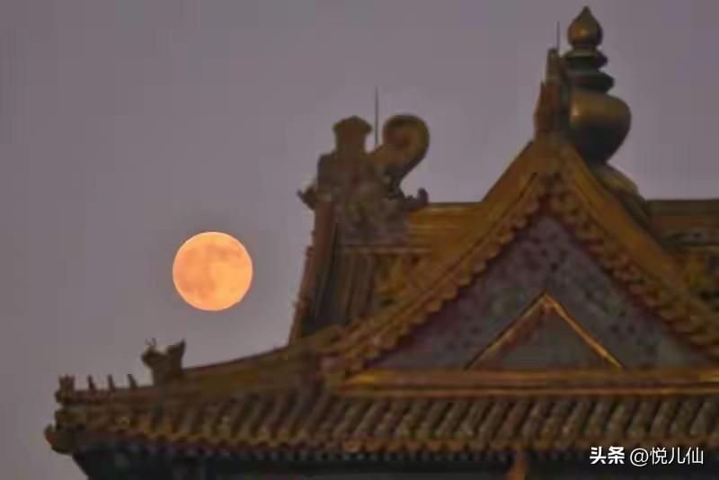 催婚，催生！
传宗接代真的有那么重要吗？

跟我聊这个话题时候，
同事小王正在被