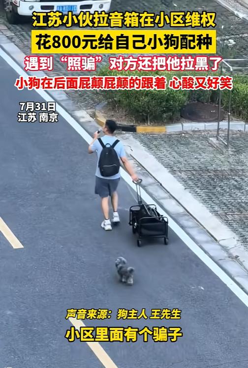 “真是又气又好笑！江苏某小伙转给同小区邻居800块，说好让两家狗狗配个种，哪知对