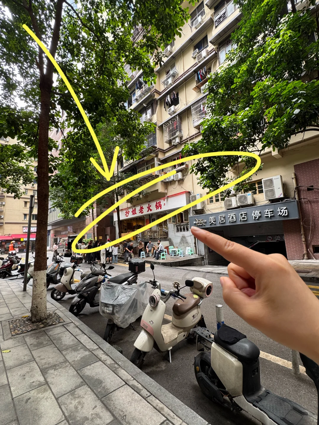 白鹿是怎么找到这儿的啊！！！