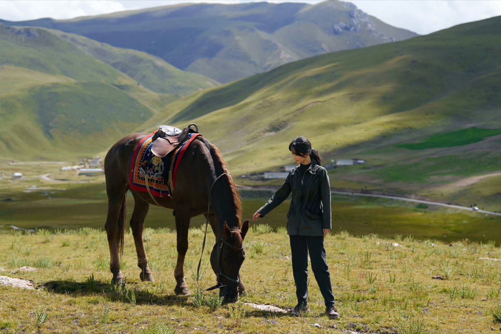 杨紫白菊：马儿乖乖帅是一种感觉！白菊晚上见大家一起来看