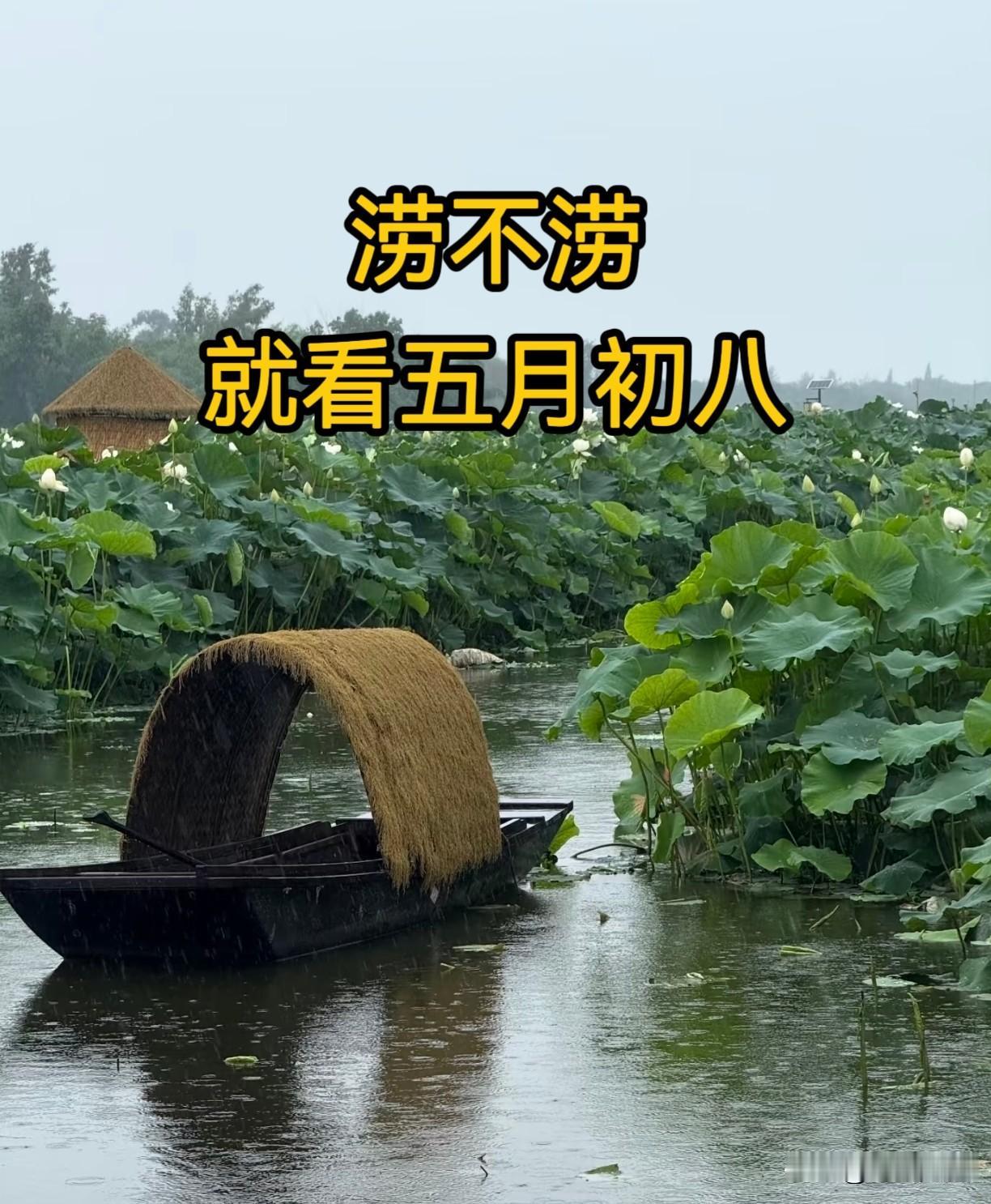 “涝不涝，就看五月初八”，今日五月初八，今年夏天雨水很多吗？
“涝不涝，就看五月