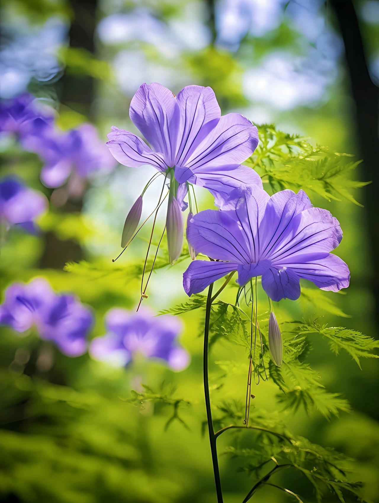 我一个朋友，夫妻两个人都是大学老师，他还是大学的一个行政领导，比较优秀的一个人。