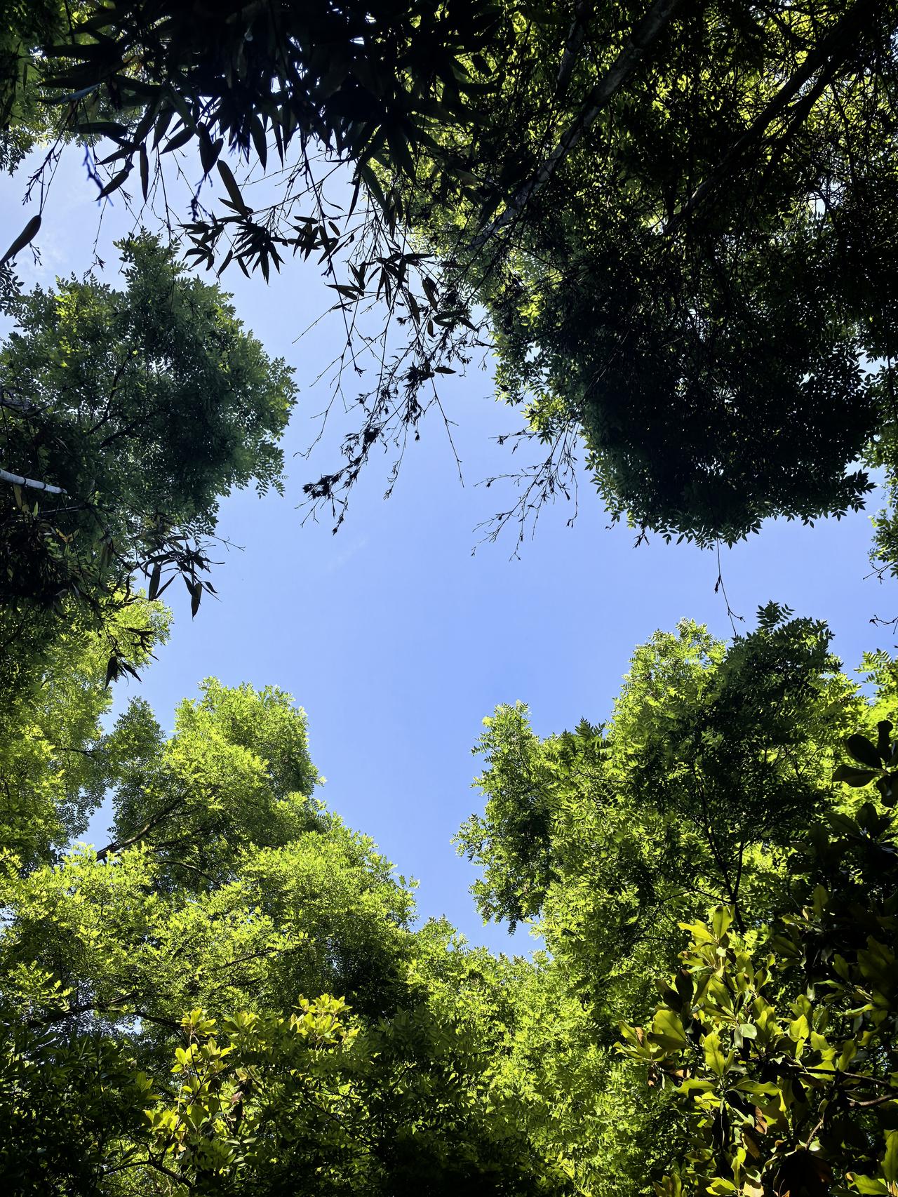 别只顾低头赶路，累了，请抬头望望天空。

看流云自在飘荡，晚风温柔拂面，日月温柔