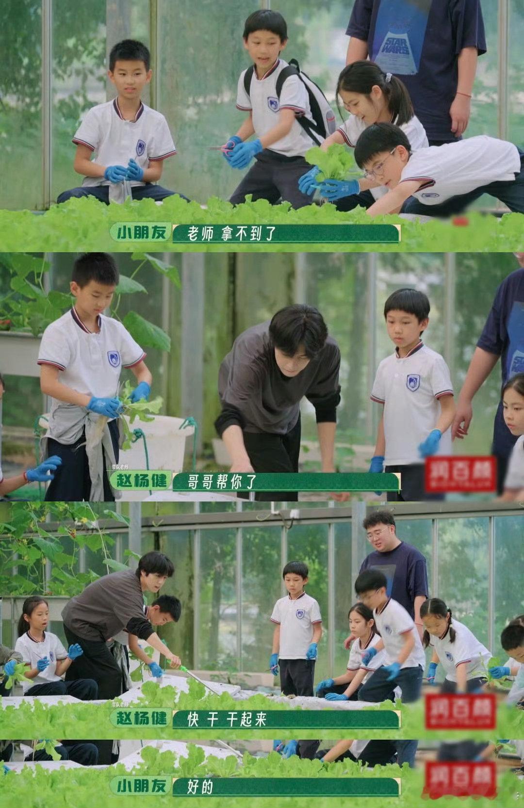 种地吧小孩谁给我报的名种地吧之前来后陡门做客的不少嘉宾，都体验过农活暴击，这次轮