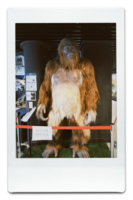 来古动物博物馆，只干一件事