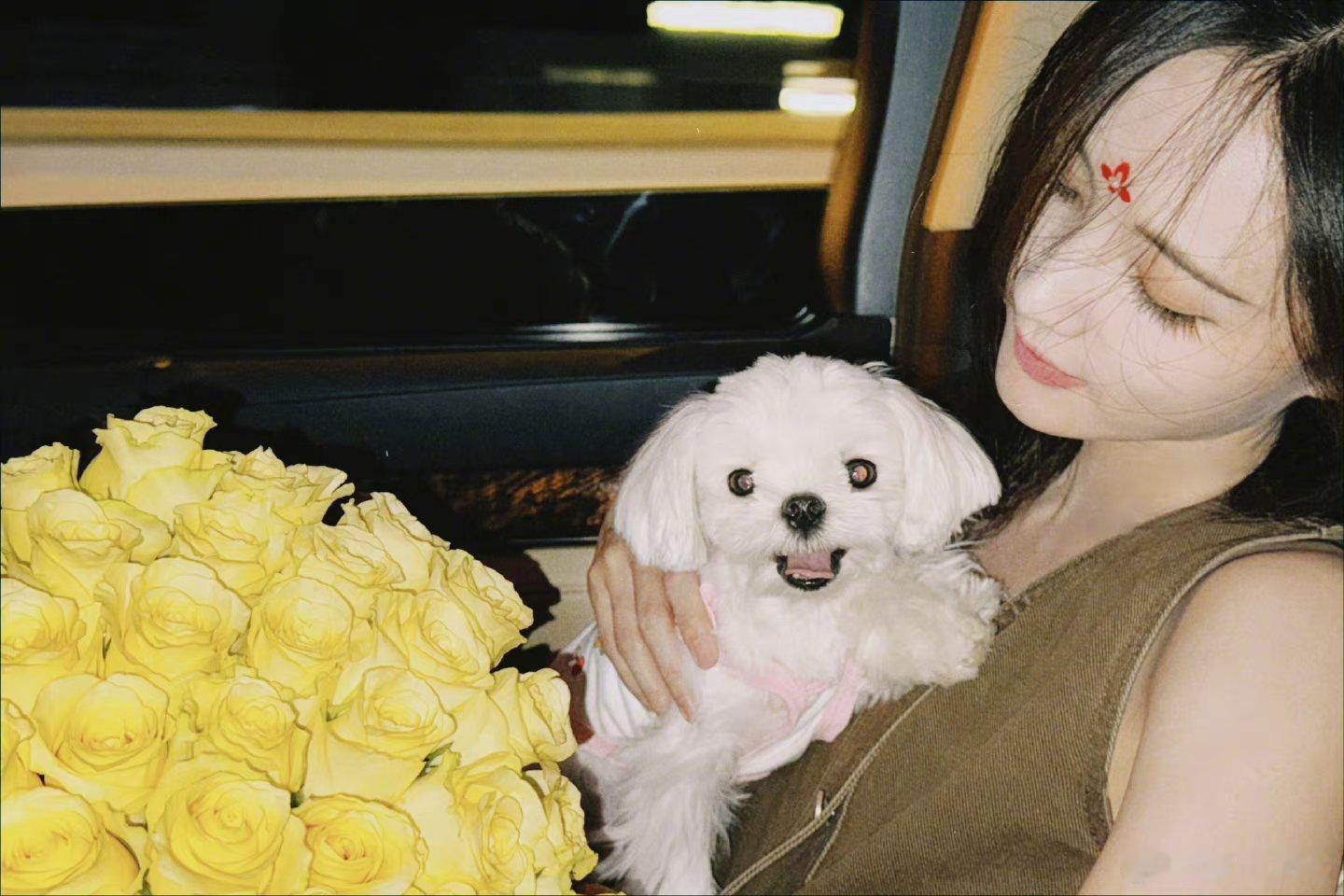 #李一桐黄玫瑰捧花照#七夕这个搭配绝了，玫瑰搭配桐姐真的好好看！ ​​​