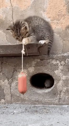 现在的AI有点儿过分呀。