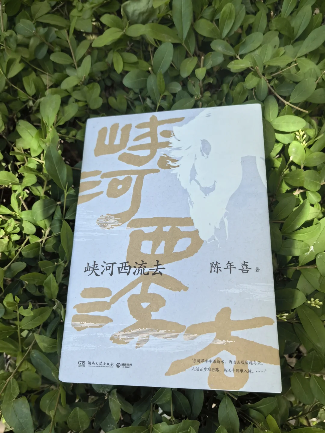 《峡河西流去》：重温故乡的美好