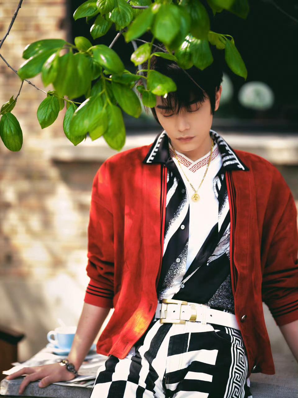 丁禹兮 北京国际电影节·范思哲影人晚宴造型图，身着 VERSACE夏日度假系列出