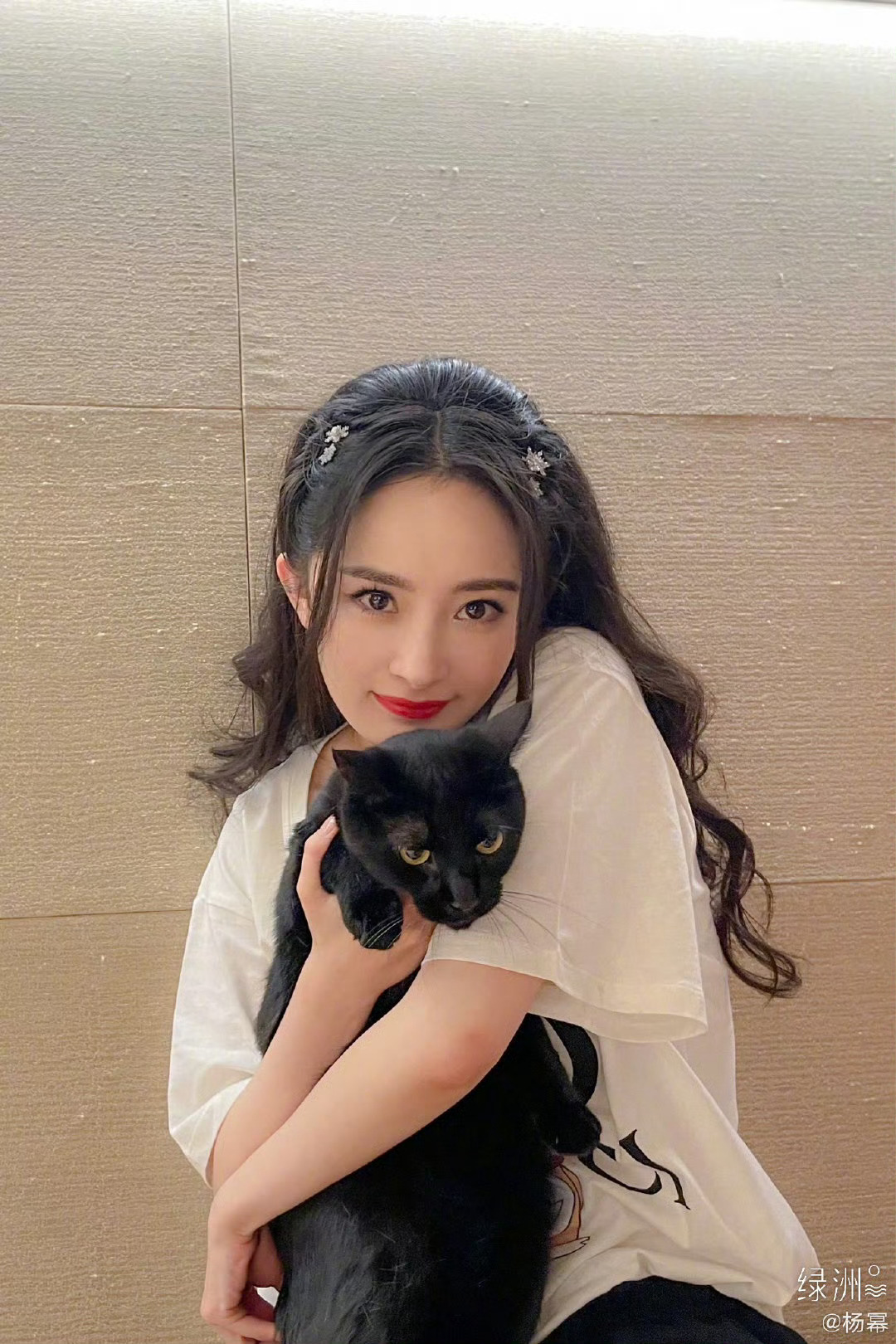 杨幂 人瘦瘦的 养的猫胖胖的😅 
