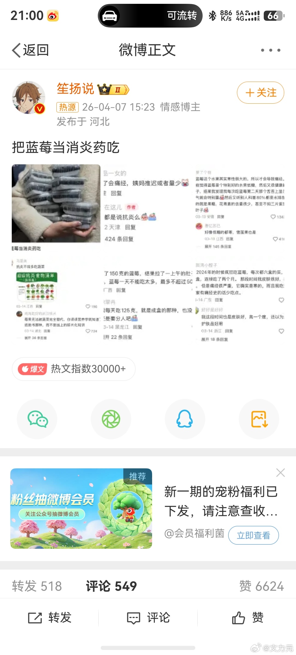 把蓝莓当消炎药吃，道理是这个道理，但是这个价格会不会不太友好呀，直接吃消炎药是不