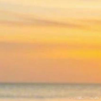 每日一善[超话] 当你有所期待，万物都可爱。再平凡的生活，当你能为了那份对未来的