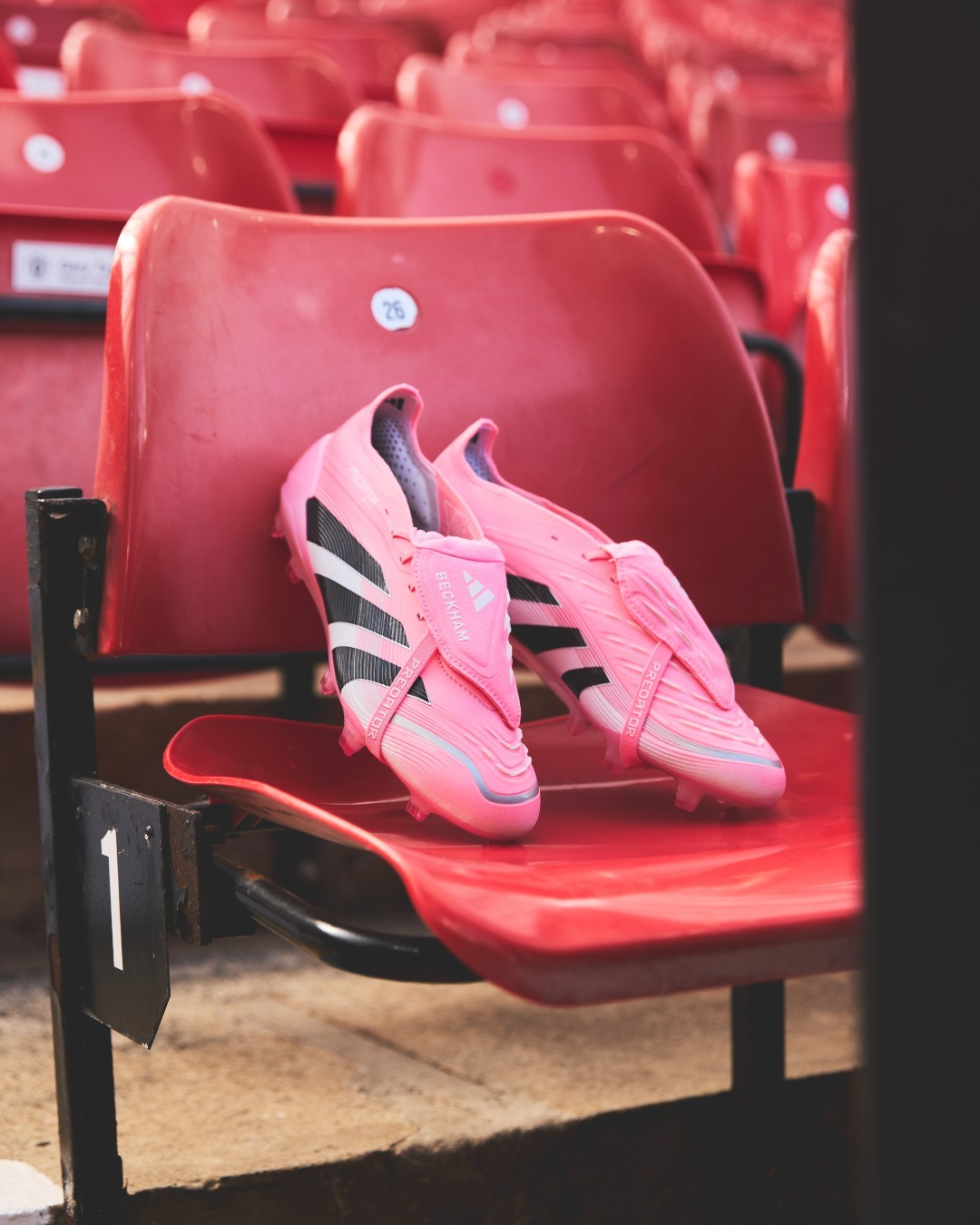 𝗣𝗿𝗲𝗱𝗮𝘁𝗼𝗿 𝘅 𝗕𝗲𝗰𝗸𝗵𝗮𝗺💗PRED
