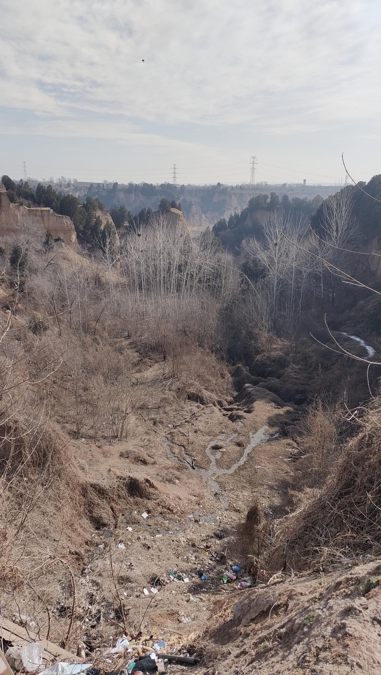 大年初六开始清理冰箱，年前高价抢的菜，大部分还没动，8元多一斤的西红柿身上生了小