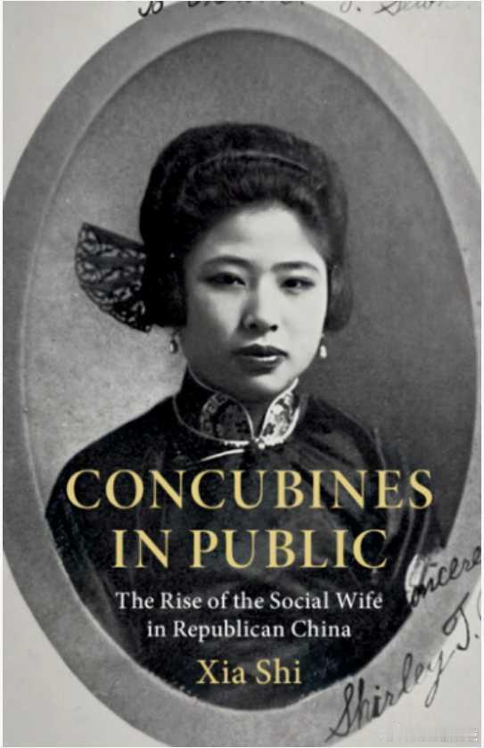 海外书讯 Concubines in Public: The Rise of t