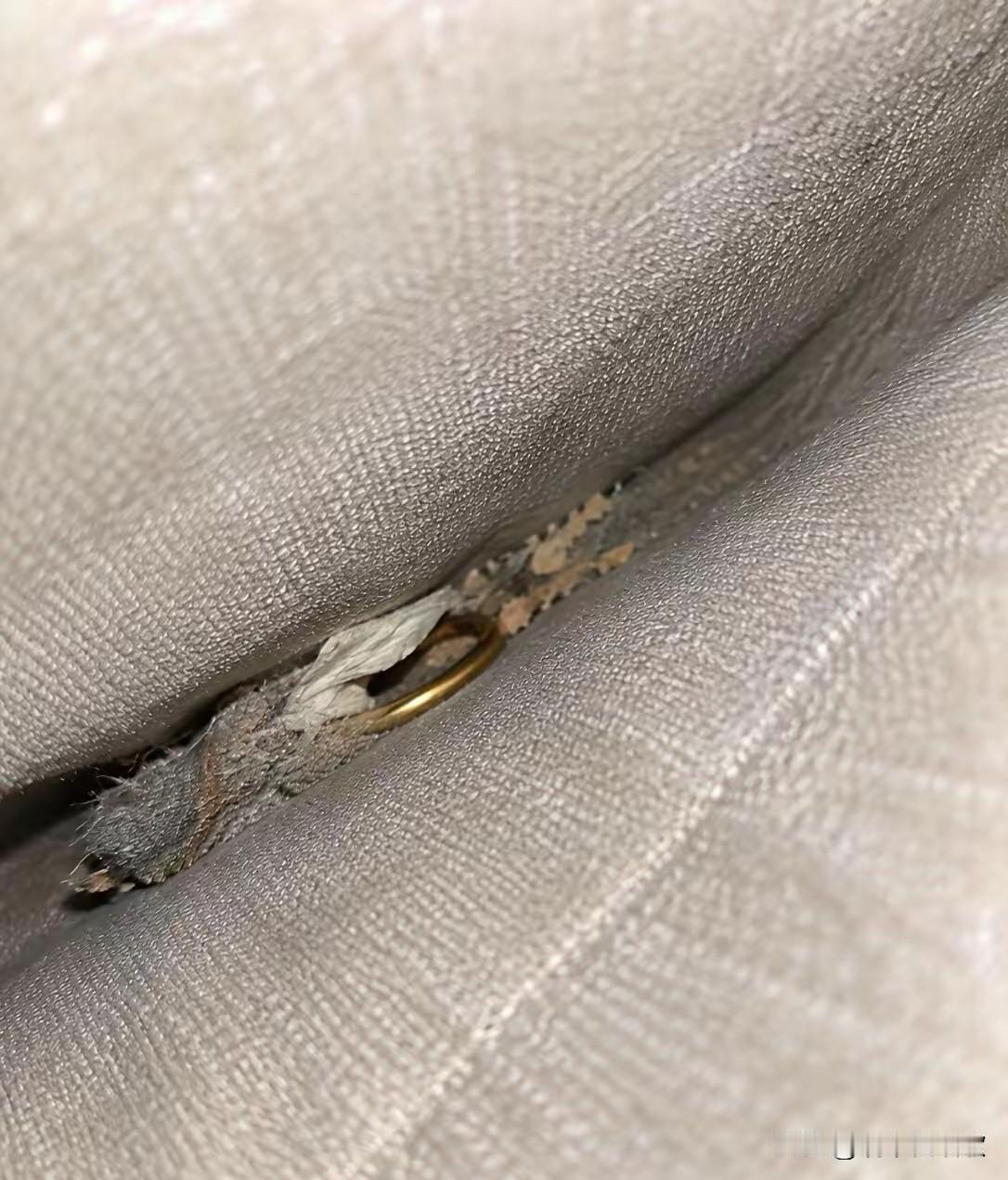 打扫客厅的时候，发现沙发🛋缝隙里面有个金手镯，这下发财了，现在金价一千多，这玩