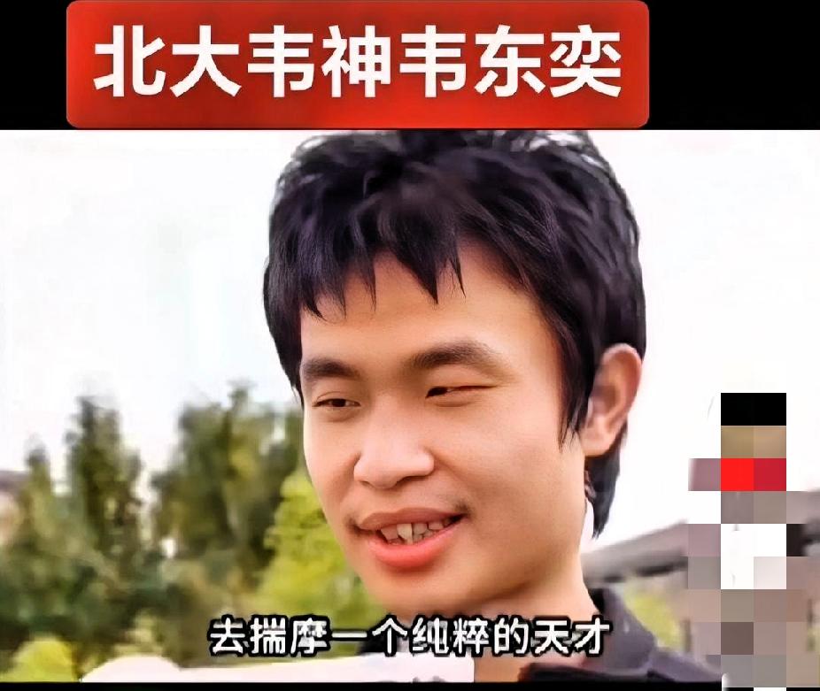 学术圈的遮羞布，那层“体面”的面纱被揭开，34岁的数学天才韦东奕刚评上副教授，网