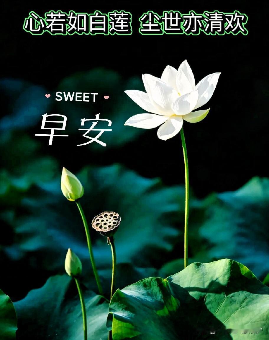 不知道从什么时候开始，我变成了双面人，一面是积极阳光快乐的“中年少女”，另一面却