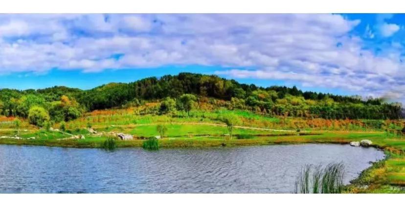 中国人的松弛感、gap和躺平
其实对90%的人来说，100万就是一笔天文数字，全