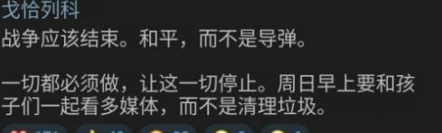 5月24日基辅遭遇大规模空袭后，乌克兰多名高层议员开始集体发声，强烈呼吁立即停火
