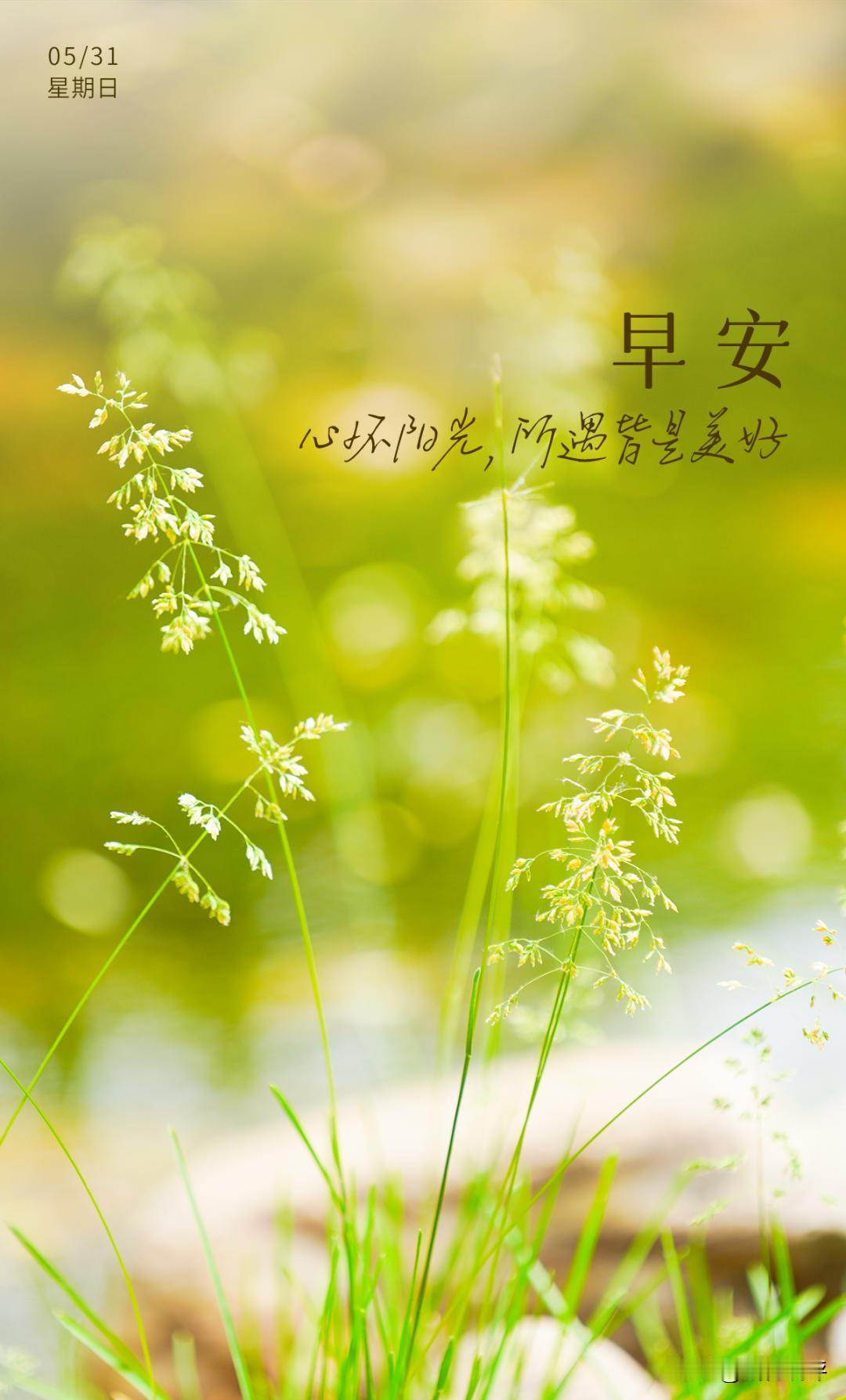 早安！晨光轻叩窗沿，新的一天就这样悄然开启。现在一打开手机，满屏都是千篇一律的“