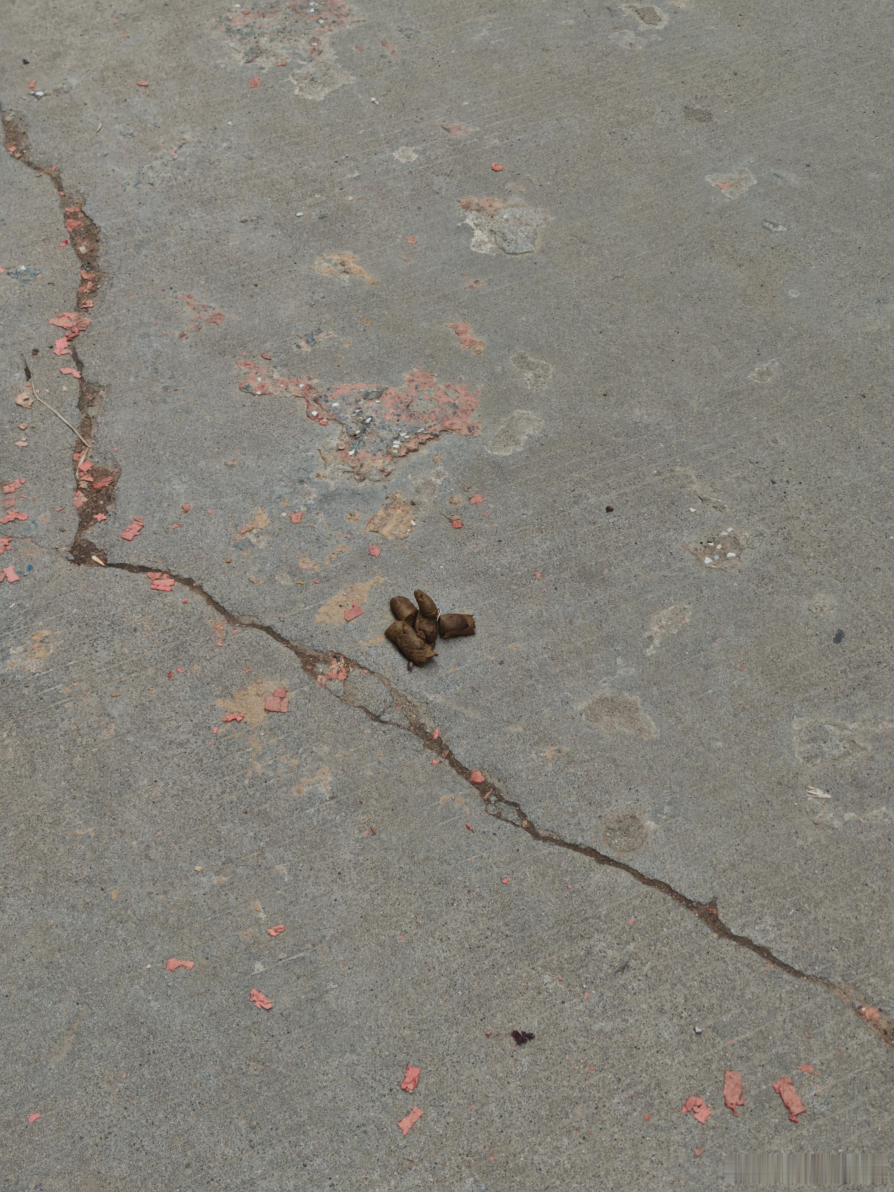 ？谁这么不讲武德 